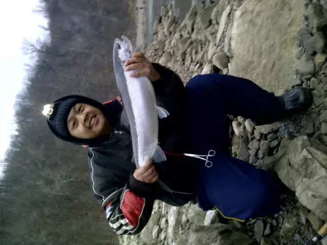 rainbow/steelhead