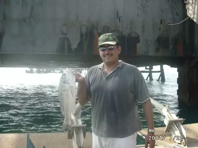 Sliver Sea bream (Subaity)