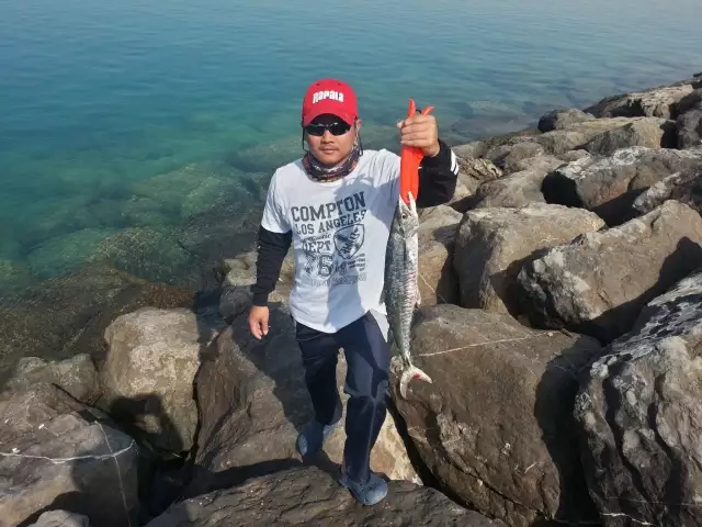 Abu Dhabi fishing