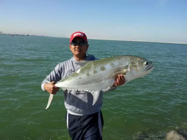 Abu Dhabi fishing