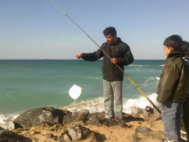 Sting Ray