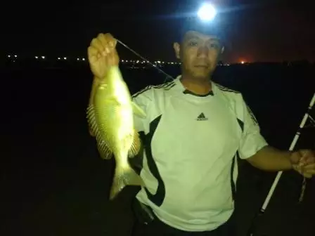 May 30 2013 -Fishing at Jubail,KSA