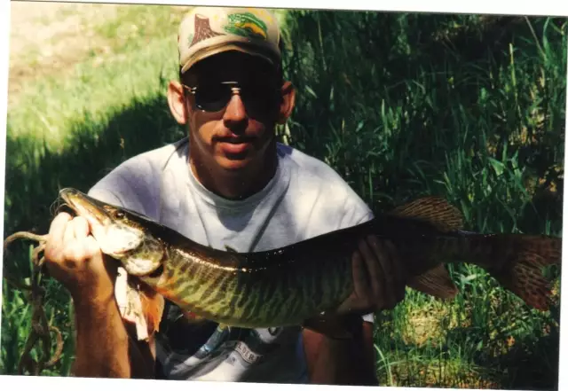 Chad Vidas Tiger Musky