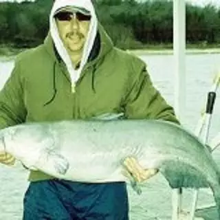 Chad Vidas Lake Texoma Blue cat
