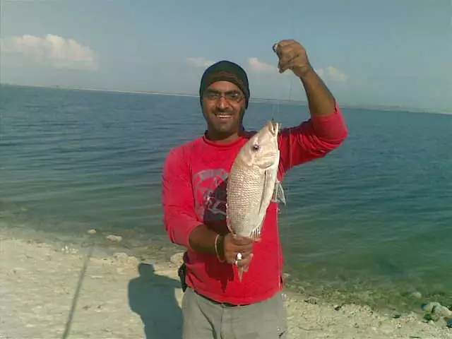 al aryum fishing