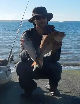 Kahawai and Snapper