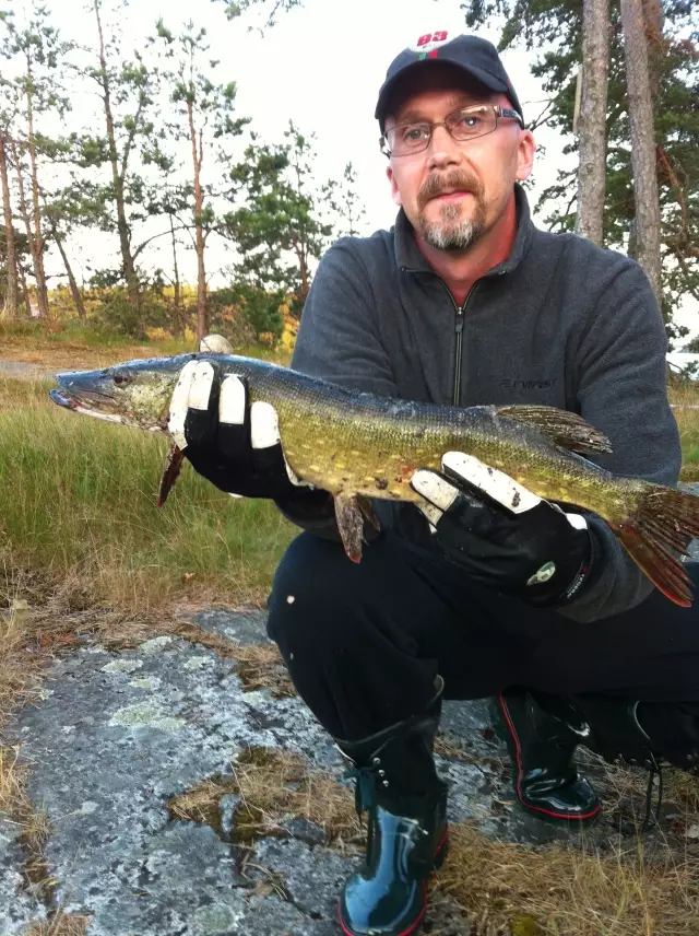 Pike 2.1kg