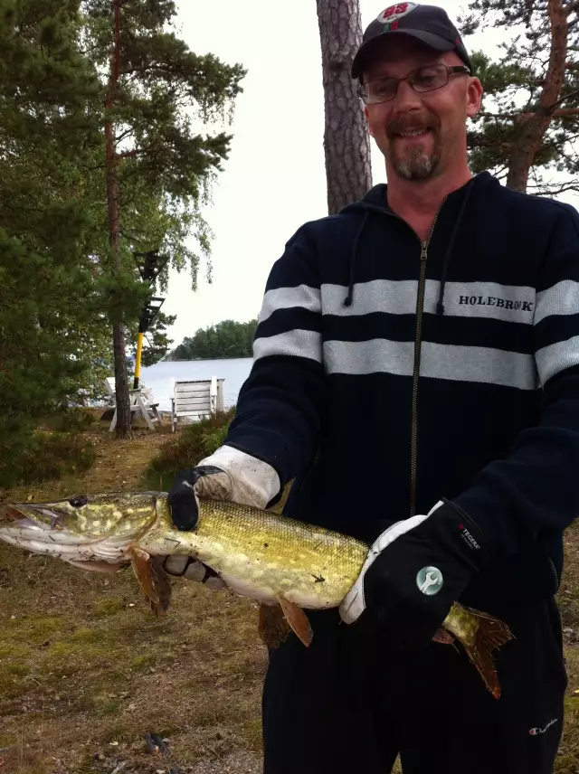 Pike1.8kg