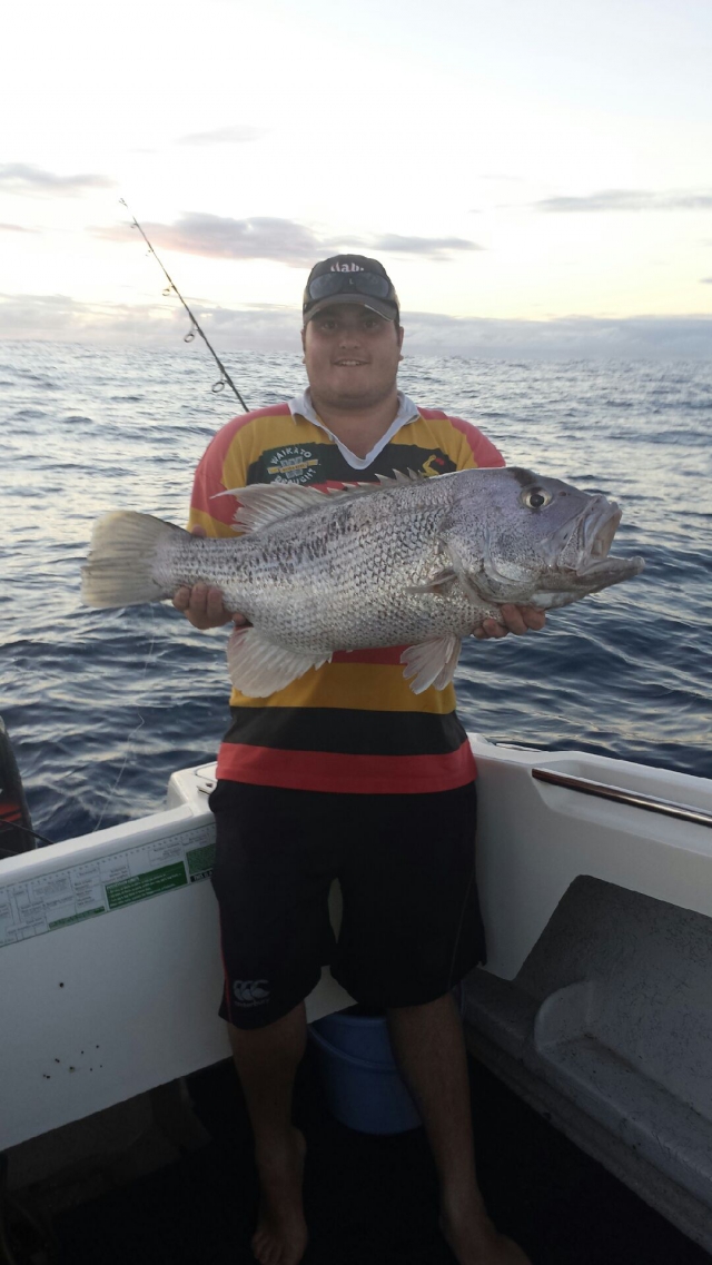 western Australia dhu fish