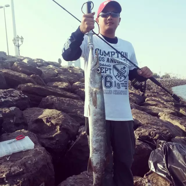 abu dhabi fishing