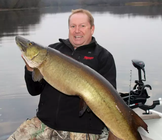 Fall Musky