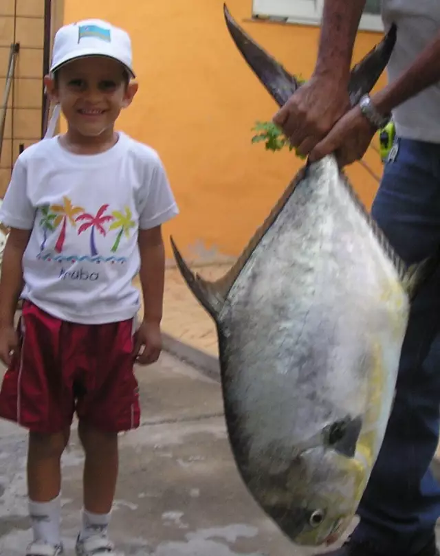 Nice catch Aruba