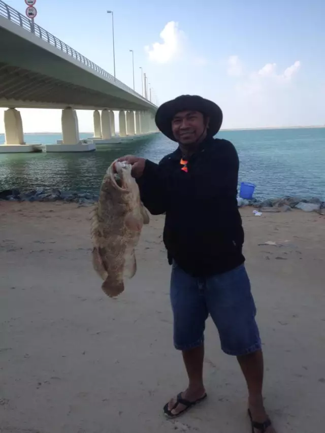 6kilo hamour in bateen bridge
