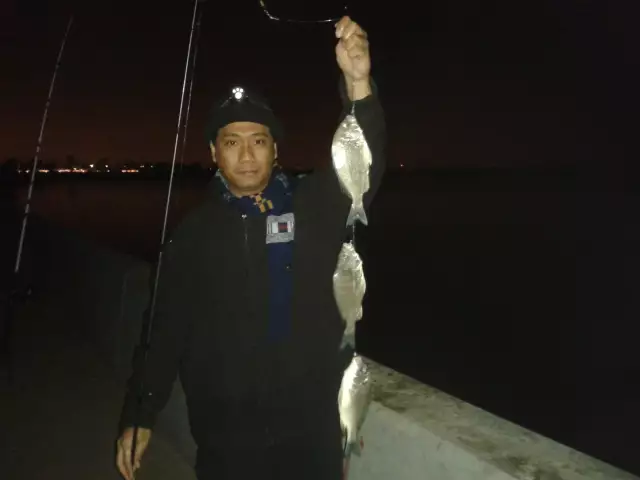 Night Fishing at Jubail-Jan 20, 2014