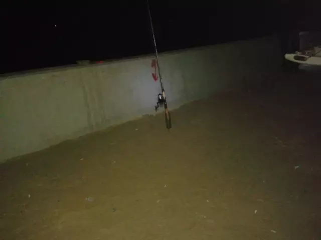 Night Fishing at Jubail-Jan 26 2014