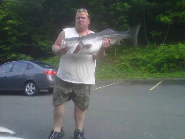 1st Striper. 34lbs