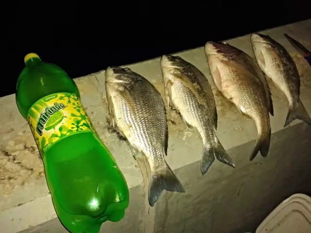 Night Fishing at Jubail - Jan 29 2014