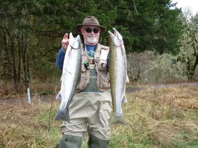 Winter steelhead on a fly