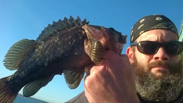 Morro Bay Grassie