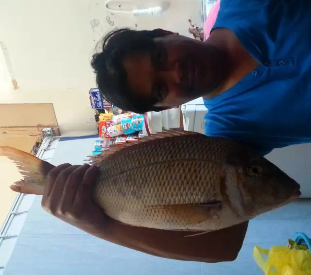21Feb2014 Catch of the Day