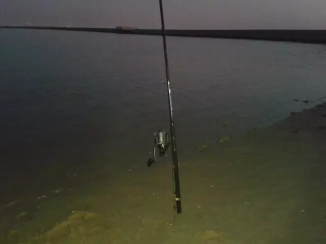 Fishing at Jubail - Feb 21, 2014