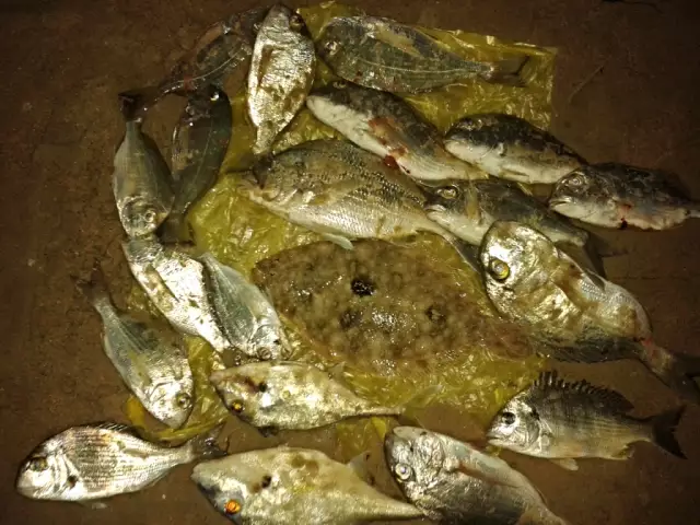 Fishing at Jubail - Feb 21, 2014