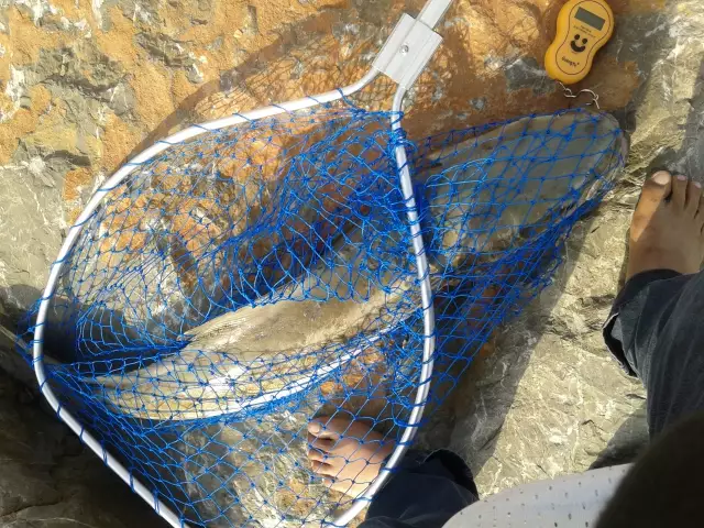 28Feb2014 CATCH OF THE DAY