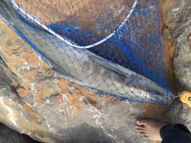 Marina Mall Breakwater Fishing 28Feb2014