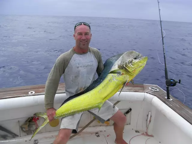 15kg Dollie