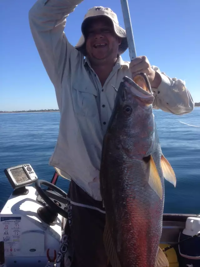 WA Mulloway