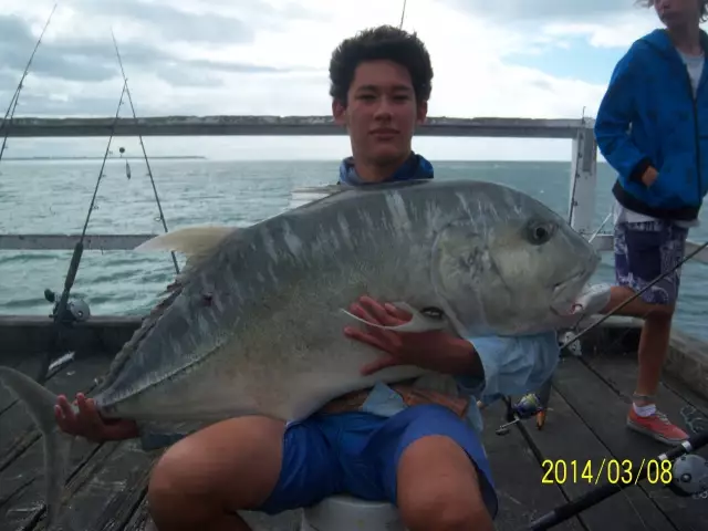 estimated 35kg landbased gt