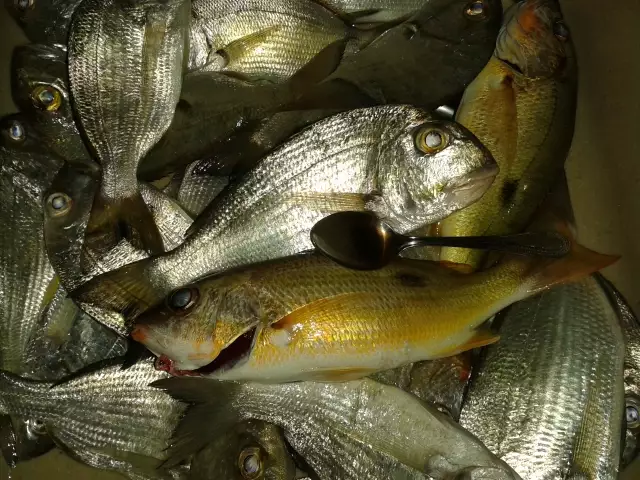 March 27 2014 - Night Fishing at Jubail corniche