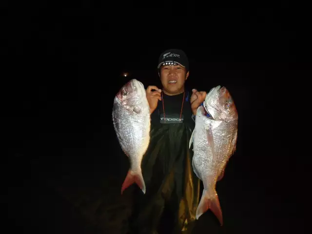 mednight snappers, big catch