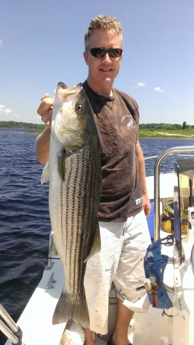 Nice Bass Ted!