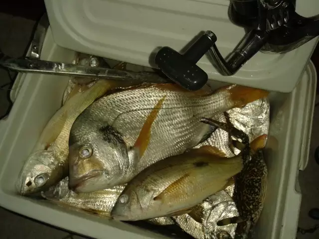 April 17 2014 - Night fishing at Jubail