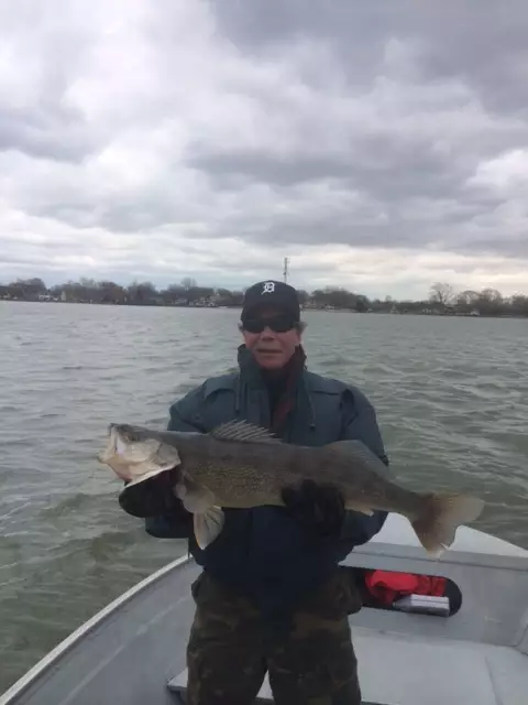 Detroit River Walleye