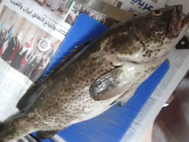 MARINA MALL BREAKWATER FISHING 06JUNE2014