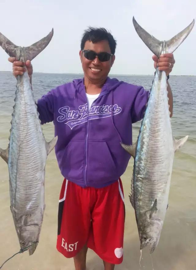 two kingfish in al aryam