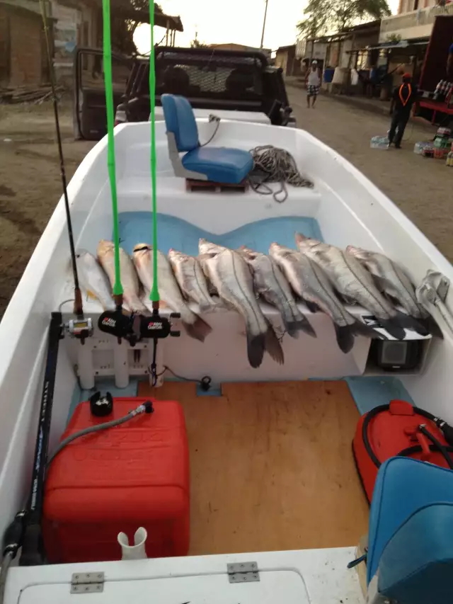 My Boat  packed