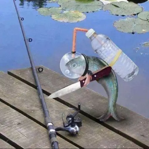 New Invasive Fish Sighted in NJ