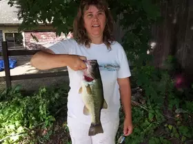 4 lb bass
