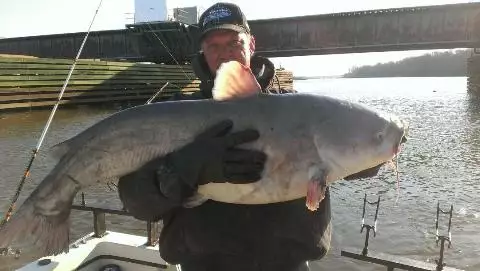 big blues on the james river