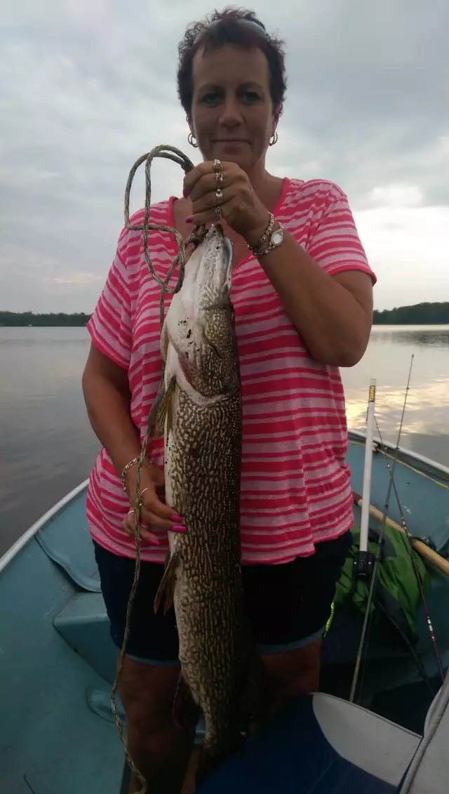 Bg Northern Pike