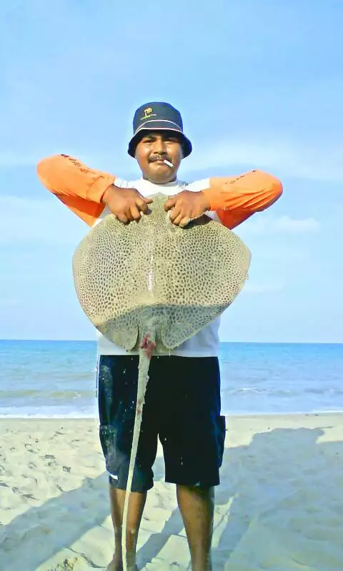 parI batu rakit