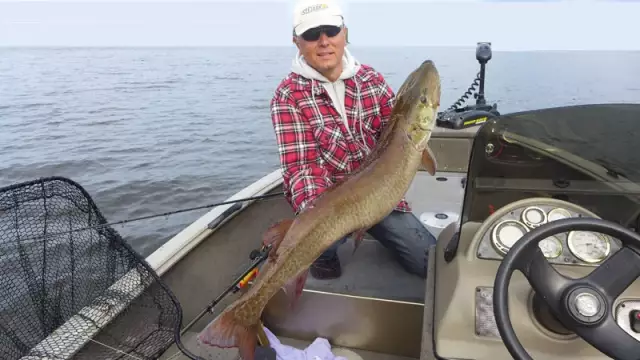 50"+ Muskie