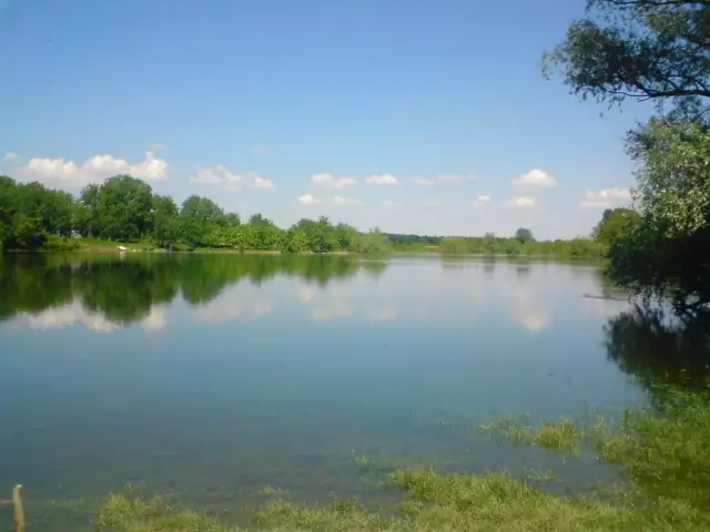 Bosut