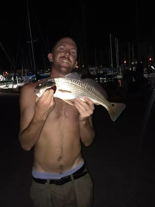 Redfish in Clearwater Florida