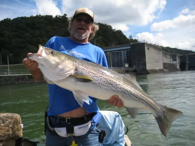 Watts Bar Lake