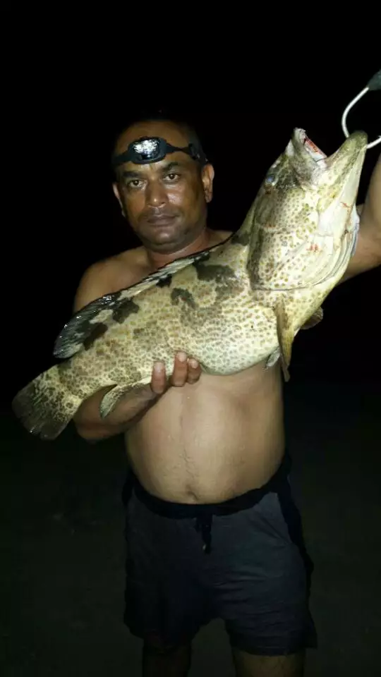 Big grouper caught by my friend Abdu