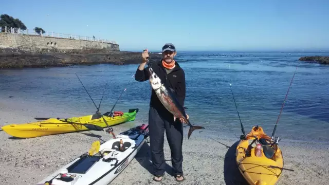 Erus ... 10.5kg Slender Tuna
